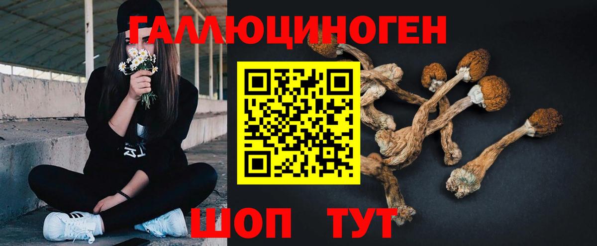 Галлюциногенные грибы GOLDEN TEACHER  Псилоцибиновые грибы Magic Shrooms  Вход с VPN  Зима 